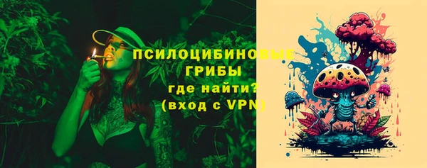 экстази Белокуриха