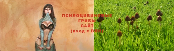 дживик Беломорск